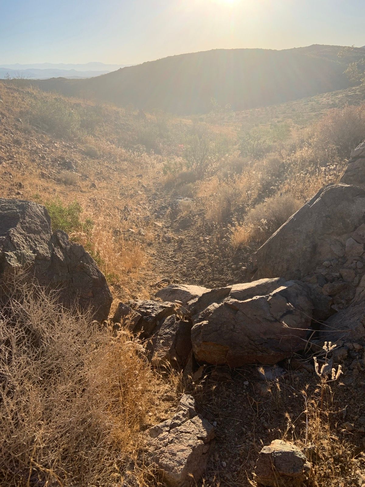 Trail in Wash