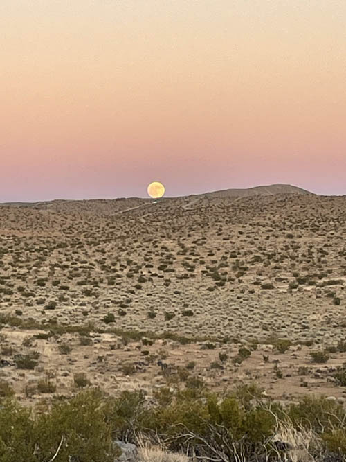 Moonrise